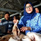 Wabup Magetan, Nanik Endang Rusminiarti, Memantau Harga Daging Ayam Potong. ( Norik/Magetan Today)