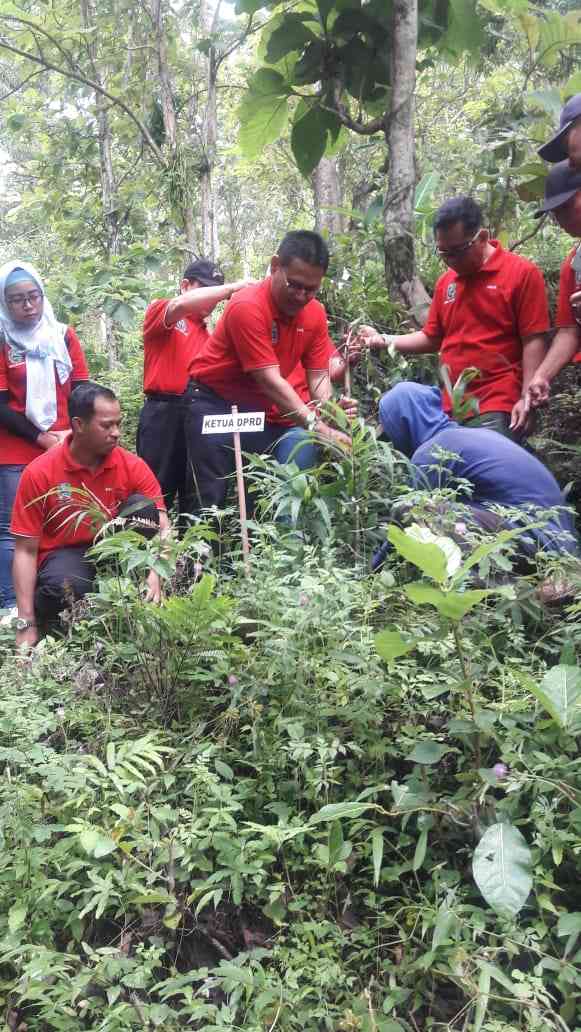 Ketua DPRD Magetan, Sujatno bersama Wakil Ketua, Suratman, Menanam Pohon Beringin dilereng Gunung Blego, Desa Trosono, Kecamatan Parang. ( Norik/ Magetan Today)