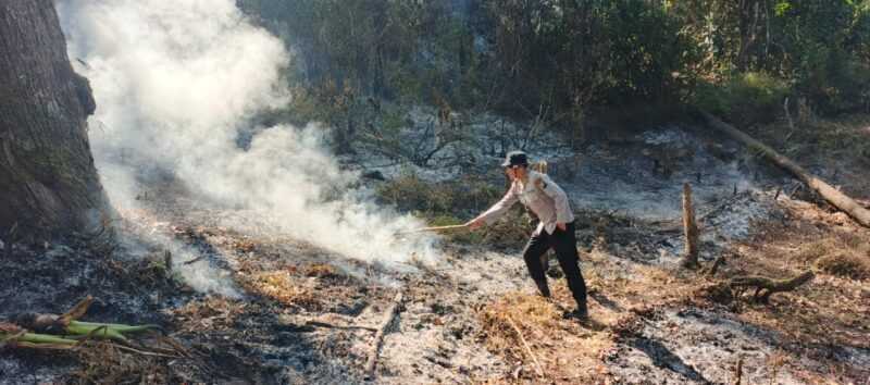 Proses Pemadaman Api Hutan Kawasan Gunung Lawu. 
